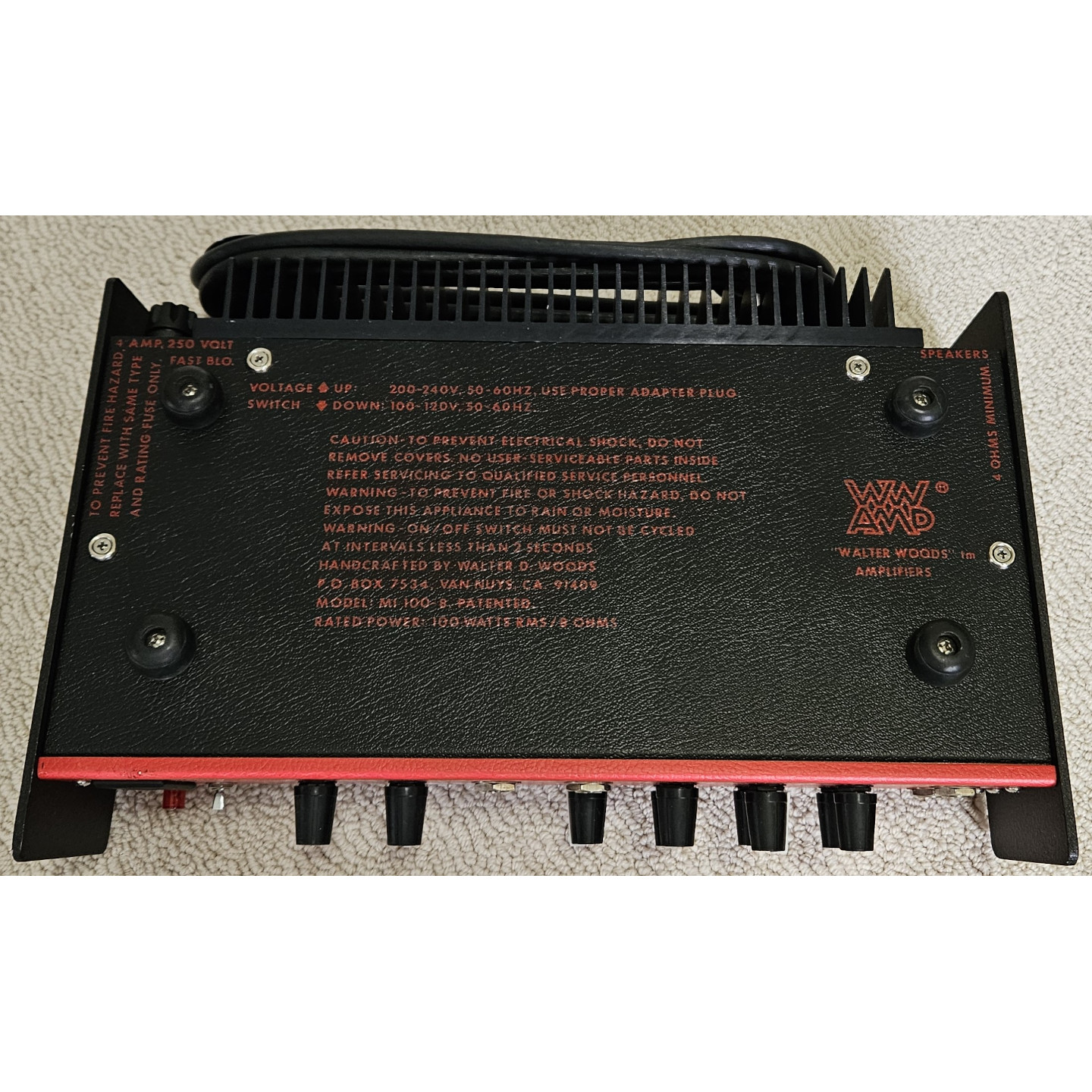 1995 Walter Woods Electracoustic Red Light Portable Bass Head Amplifier