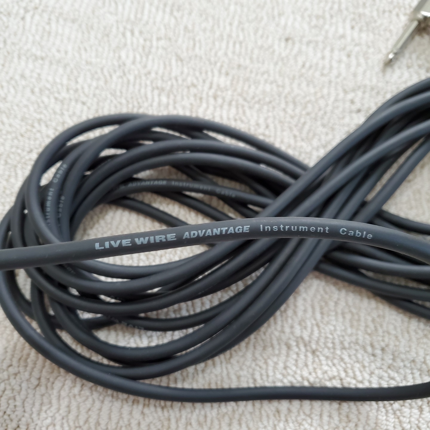Live Wire 25' EG25L Advantage Series 1/4